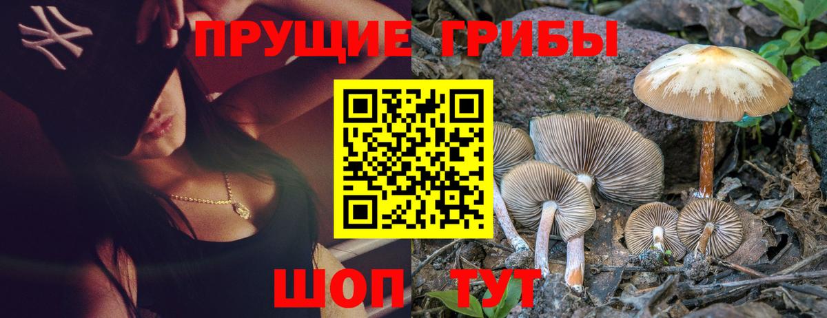 Мариинск  Псилоцибиновые грибы Magic Shrooms  Вход с VPN  Псилоцибиновые грибы прущие грибы 